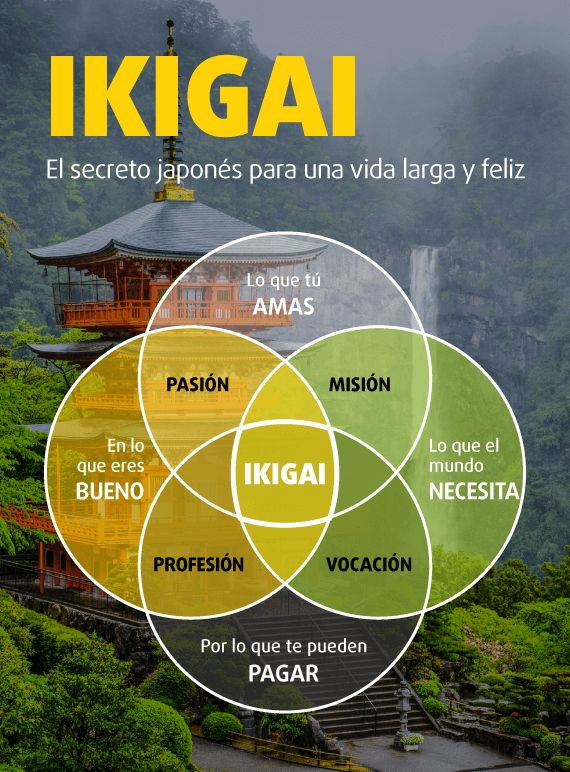 Infografía sobre qué es el Ikigai y los elementos que lo conforman